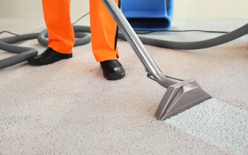 Dust Off The Carpet With A Professional Cleaner