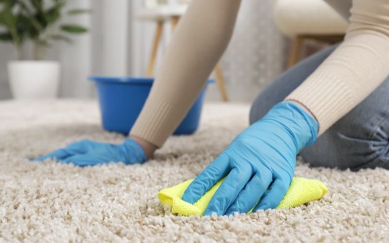 Use DIY Cleaning Methods For Carpet
