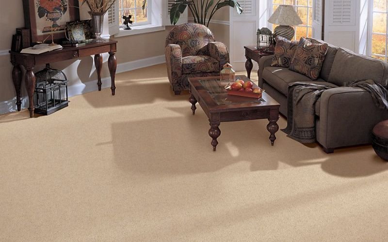 Select Carpet Color