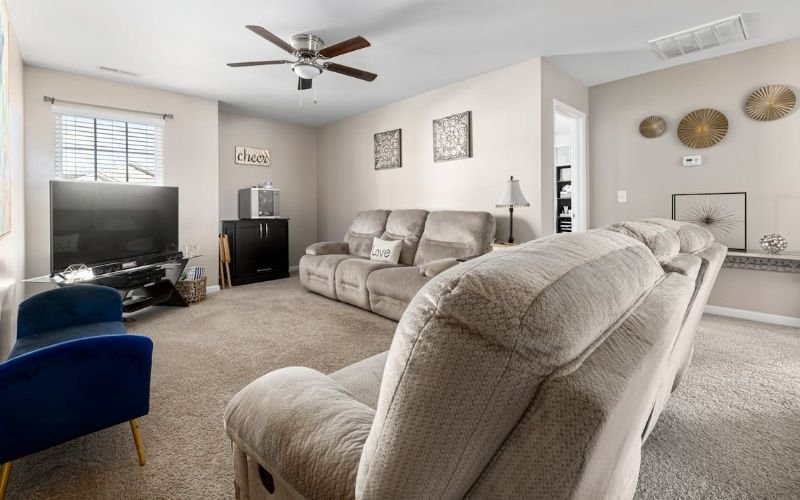Understanding The Carpet Need