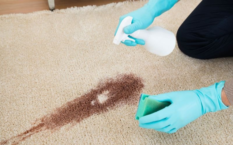 Check The Type Of Stains