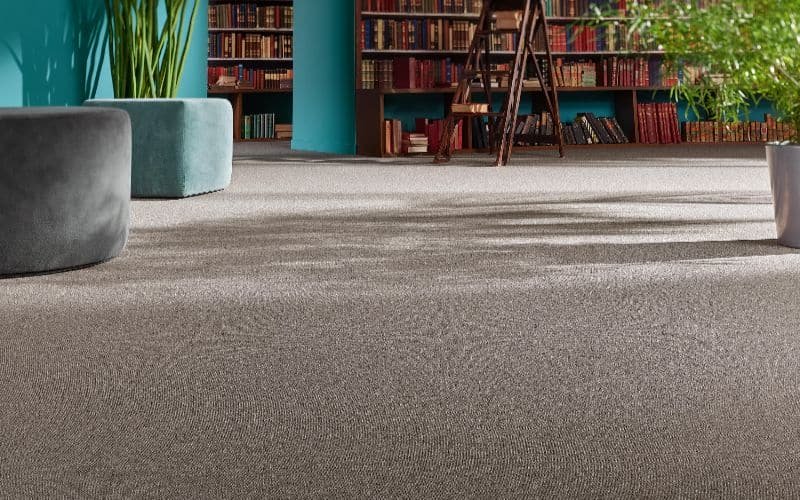 Select Trendy Wall-To-Wall Carpet